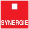 Synergie Interim